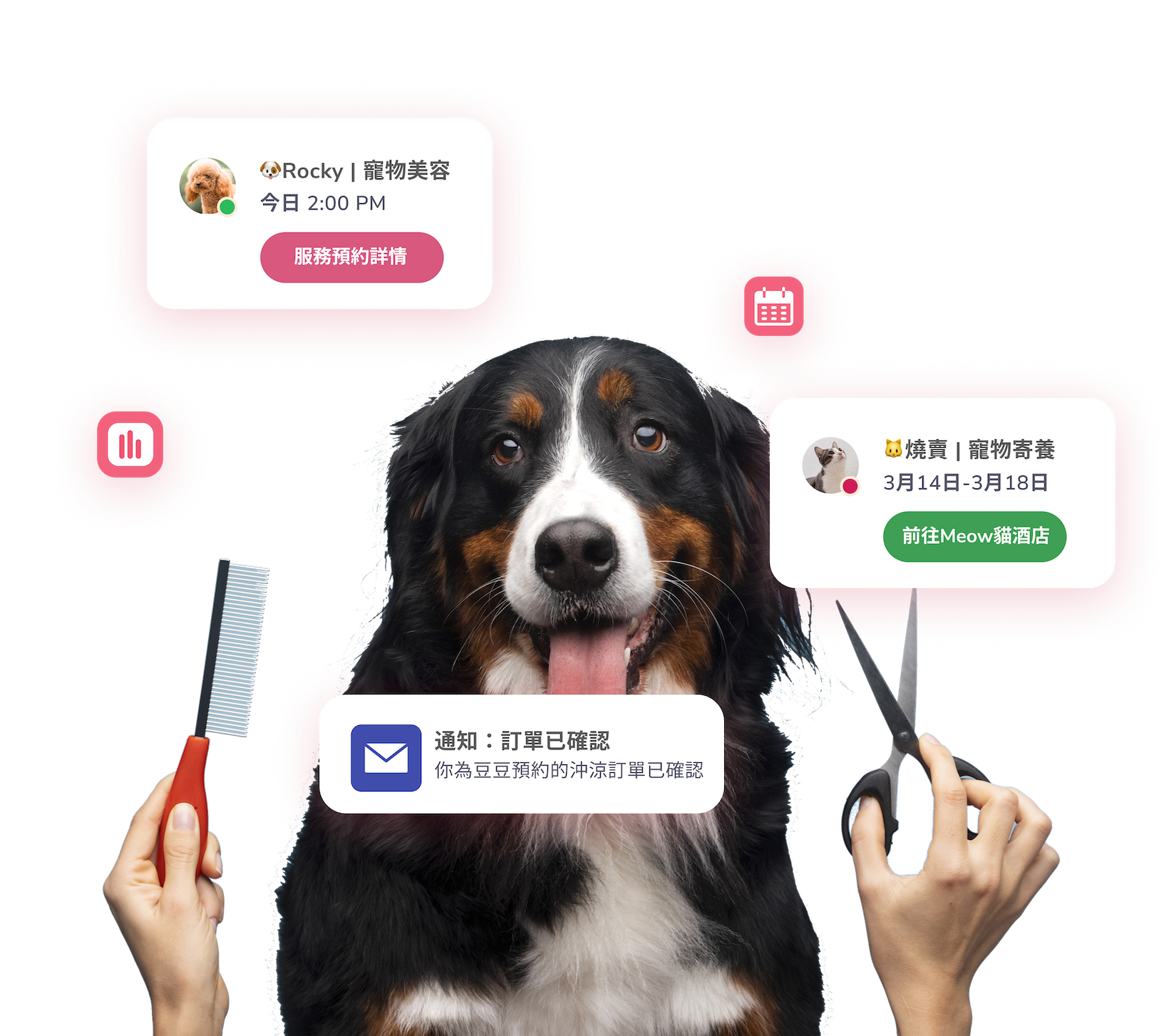 Doki寵物App - 香港寵主必備App - 一App搞掂毛孩衣食住行